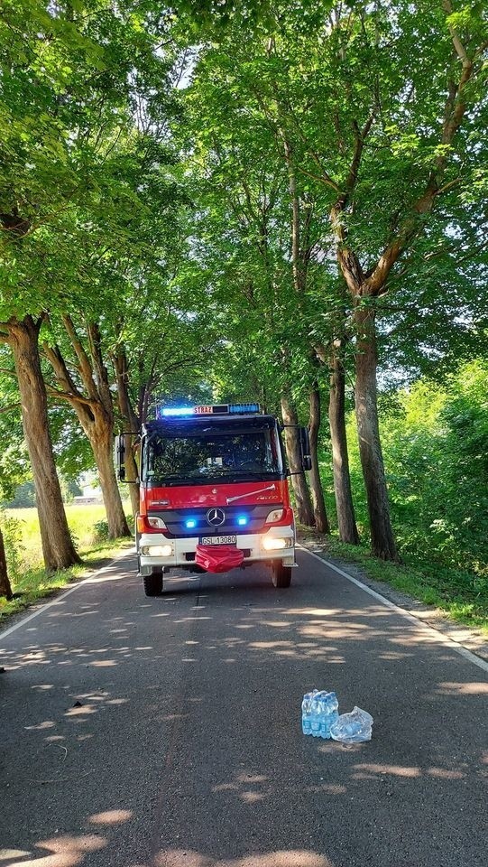 Kolizja koło Pobłocia. Auto uderzyło w drzewo [ZDJĘCIA]