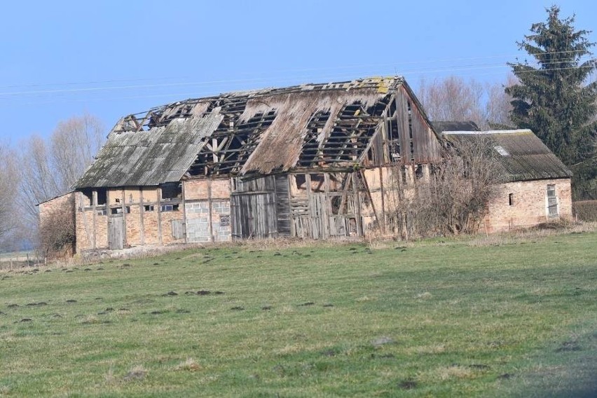 To tak zwana Nowa Ameryka pod Gorzowem. Miejsce nie każdemu...