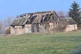 Niezwykła kraina pod Gorzowem. Nowa Ameryka to miejsce jest jak z innego świata! Trzeba mieć charakter, żeby tu mieszkać