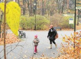 Jesienne prace ulepszą park na Bydgoskim Przedmieściu w Toruniu