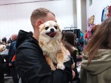 Wystawa psów w Łodzi! 150 psów z ponad 40 ras prezentuje swoje wdzięki. GALERIA ZDJĘĆ