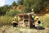 Trwa nabór do IV edycji konkursu Quarry Life Award dla przyrodników