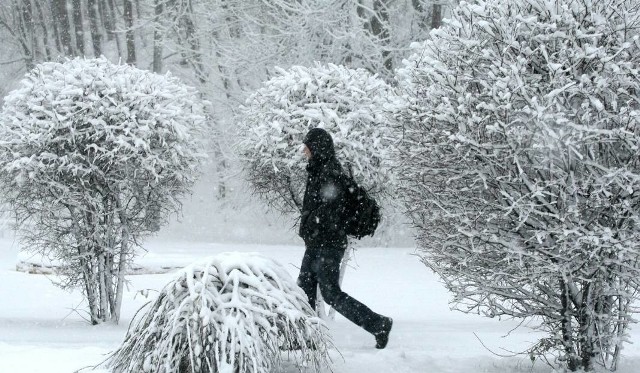 Prognoza pogody na najbliższe dni [28.02 - 05.03.2018] Silne mrozy w województwie podlaskim