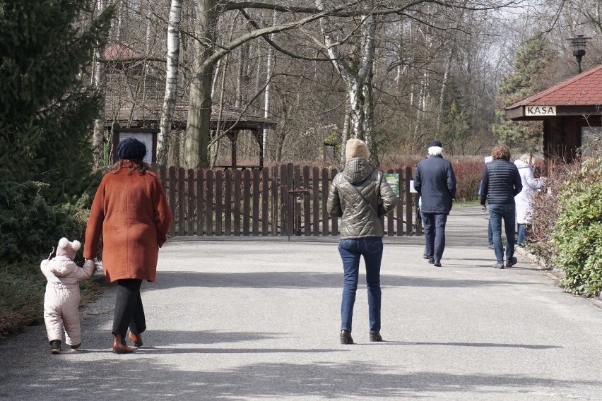 Łodzianie korzystają z pięknej pogody. Ogród botaniczny pełen spacerowiczów ZDJĘCIA