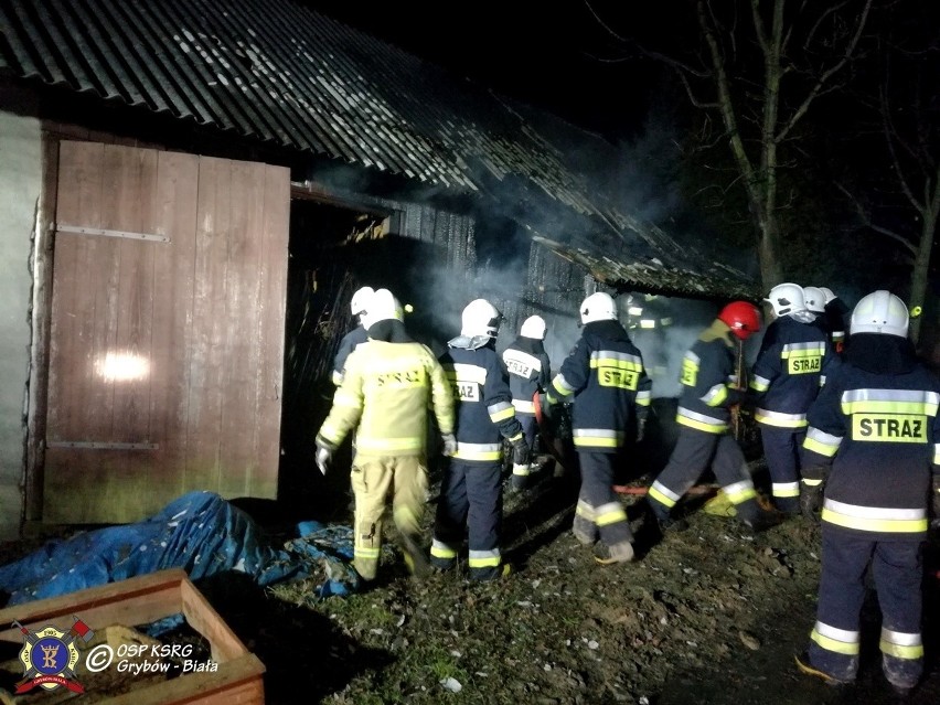 Siołkowa. Pożar budynku gospodarczego. Ogień pojawił się w środku nocy[ZDJĘCIA]