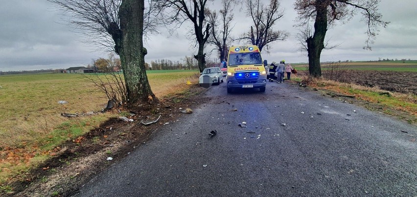 Wypadek na drodze z Wiskitna do Osieka. Auto uderzyło w drzewo [zdjęcia]