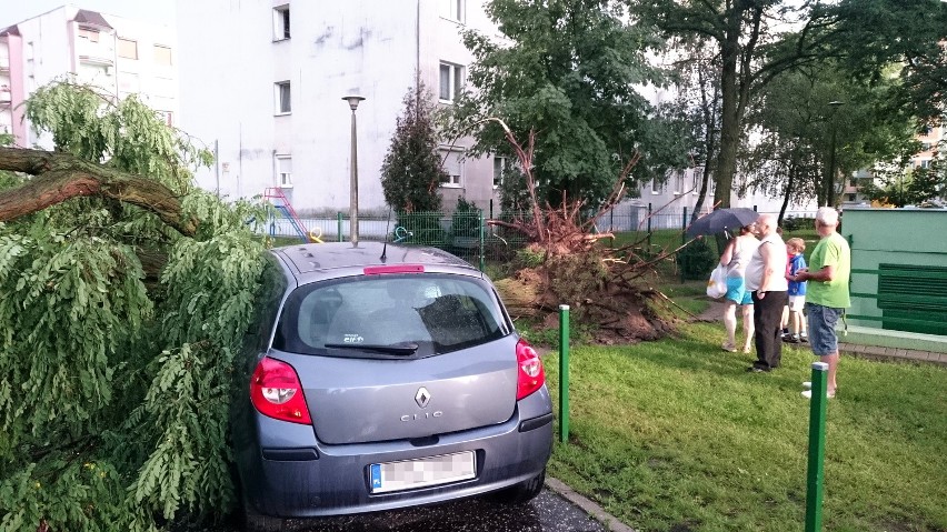 Bydgoszcz. Drzewo przewróciło się na auta przy Baczyńskiego
