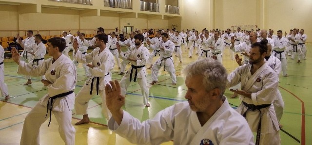 W VI Centralnym Kongresie Karate w Pińczowie wzięło udział ponad 120 instruktorów tego sportu. Odbyli dwie sesje treningowe.