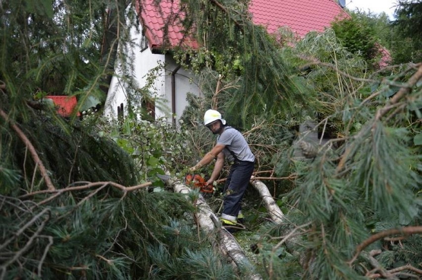 W nawałnicy na Pomorzu najbardziej ucierpiały powiaty...