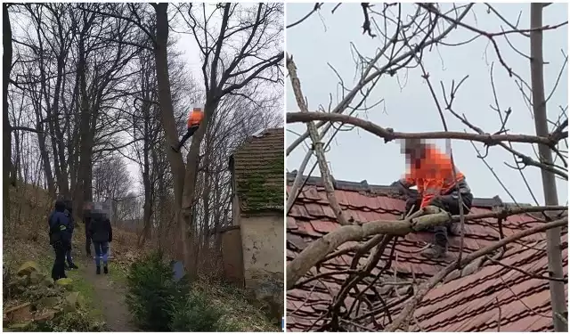 Do niecodziennej interwencji policji doszło na Dolnym Śląsku.