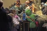Imponujące bożonarodzeniowe szopki w tarnobrzeskich kościołach (zdjęcia)