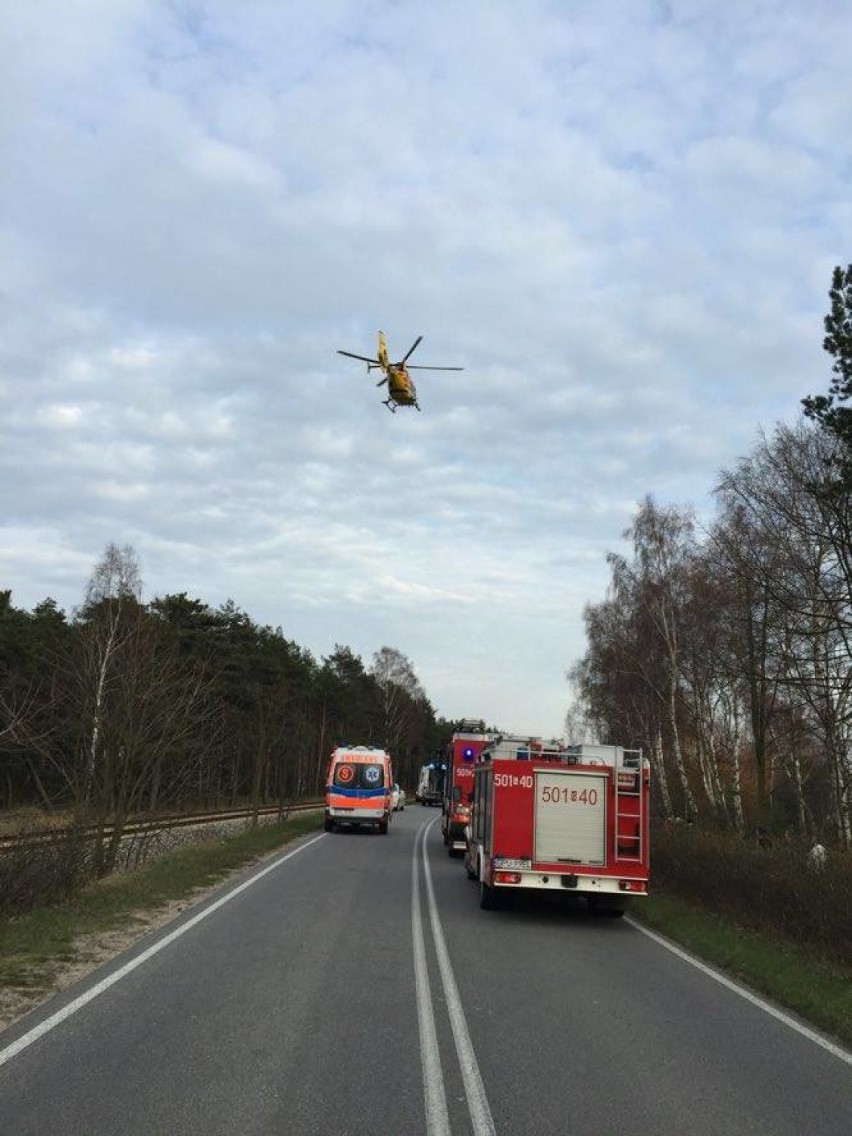 Na Półwyspie Helskim między Władysławowem i Chałupami doszło...