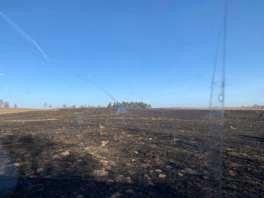 Taczki. Ogromny pożar traw. Spaliło się około 40 hektarów