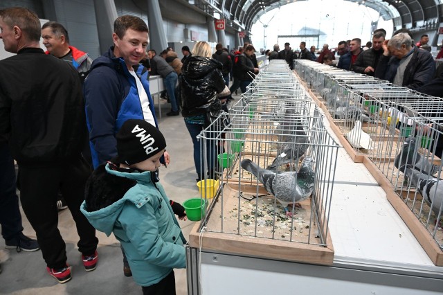 W Targach Kielce pojawiło się mnóstwo zainteresowanych gołębiami i królikami osób.