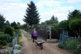 Działkowcy w Poznaniu chcą walczyć o swoje ogródki. Piszą petycje