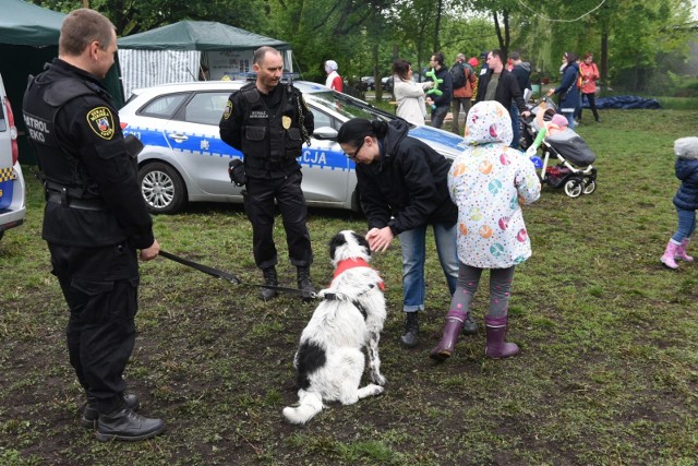 Toruńskie schronisko dla zwierząt odwiedzili dziś przyjaciele. Wszystko w ramach corocznego pikniku, który w tym roku odbył się już po raz 7. Z każdym rokiem przybywa jej zwolenników. Organizatorzy są przekonani, że to za sprawą coraz to nowych i sprawdzonych atrakcji oraz z powodu wyjątkowej atmosfery. Polecamy:Ubiegłoroczny pilnik schroniska - zobacz zdjęciaPsy do adopcji z toruńskiego schroniska - maj 2019Hospicjum dla zwierząt w ToruniuCmentarz Tęczowy Las w Toruniu. Tu spoczywają nasze zwierzaki