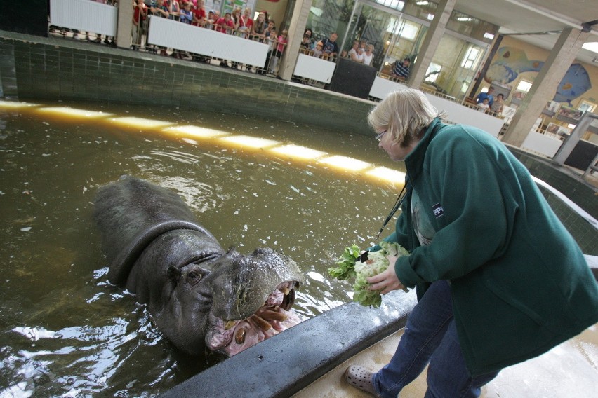 Śląski Ogród Zoologiczny od kuchni