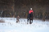 Bolęcin. Konie ciągnęły narty z dziećmi. Była zabawa! 