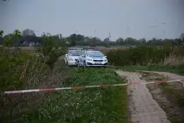 Odnalezienie ciała Pauliny