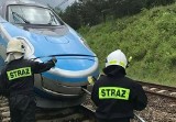 Góra Włodowska: Pendolino potrąciło pieszego