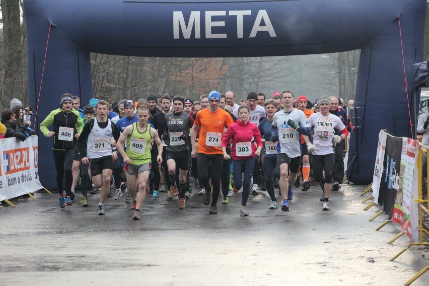 Puchar Łódź Maratonu Dbam o Zdrowie - bieg w Arturówku na 15...