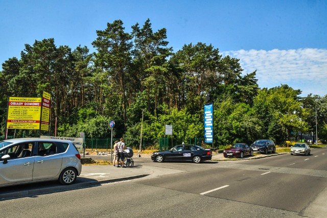 Robi się zamieszanie o plan zagospodarowania sporego fragmentu lasu na Kapuściskach w Bydgoszczy. Wielu mieszkańców nie chce zmian, inni wprost oskarżają miasto o zamiar masowej wycinki drzew od ul. Wojska polskiego w stronę Solnej.