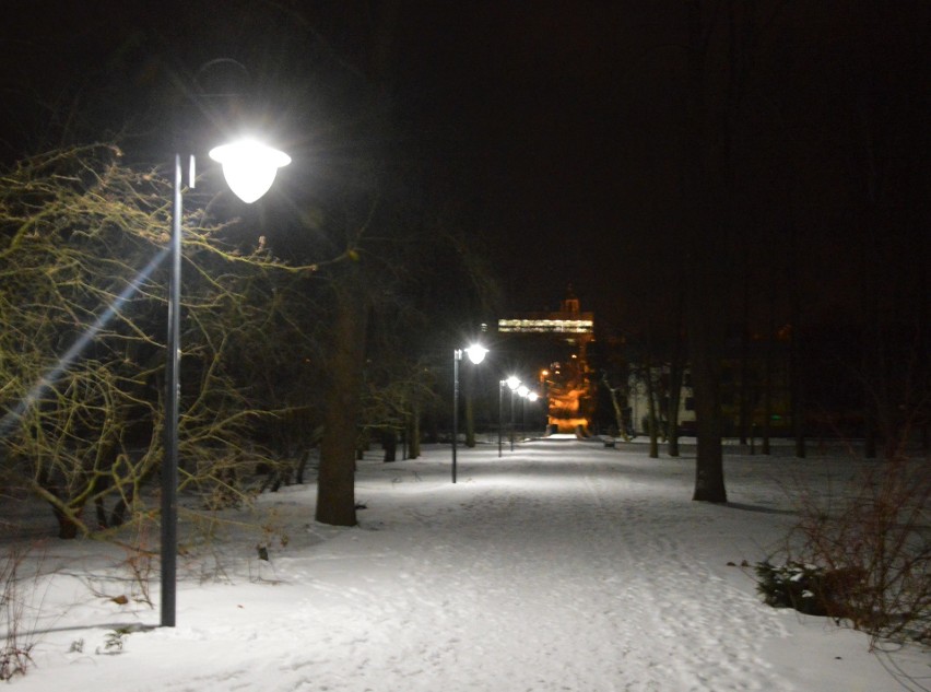Oświetlony park miejski w Proszowicach
