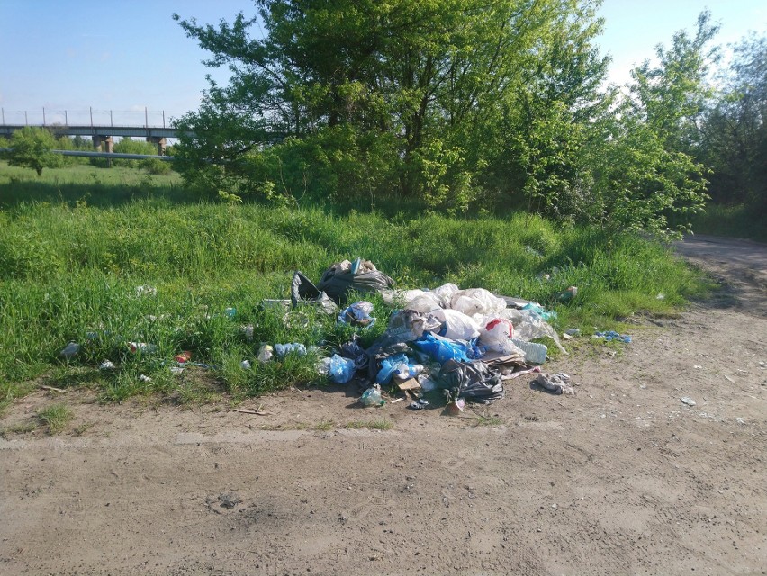 Nielegalne wysypisko śmieci na Naramowicach