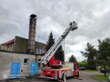 Bocian stracił gniazdo w Palowicach. Pomagają strażacy z Rybnika! 