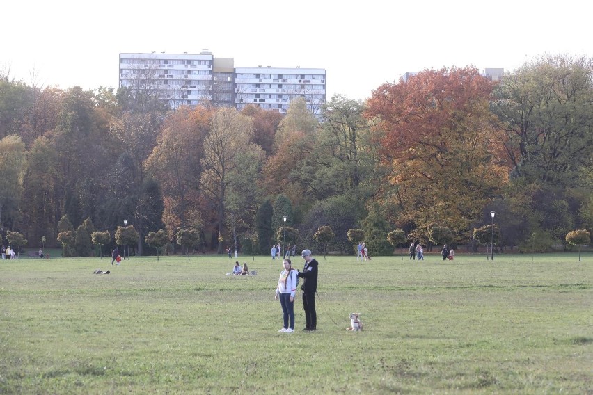 Park Śląski w jesiennym wydaniu
