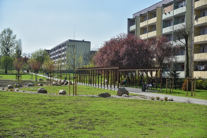 Park Rataje powstaje w bólach. Radni oraz społecznicy z...