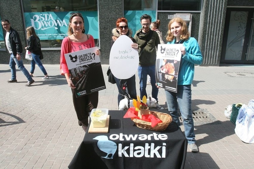 "Jak one to znoszą" - Protest ekologów w Katowicach [ZDJĘCIA]