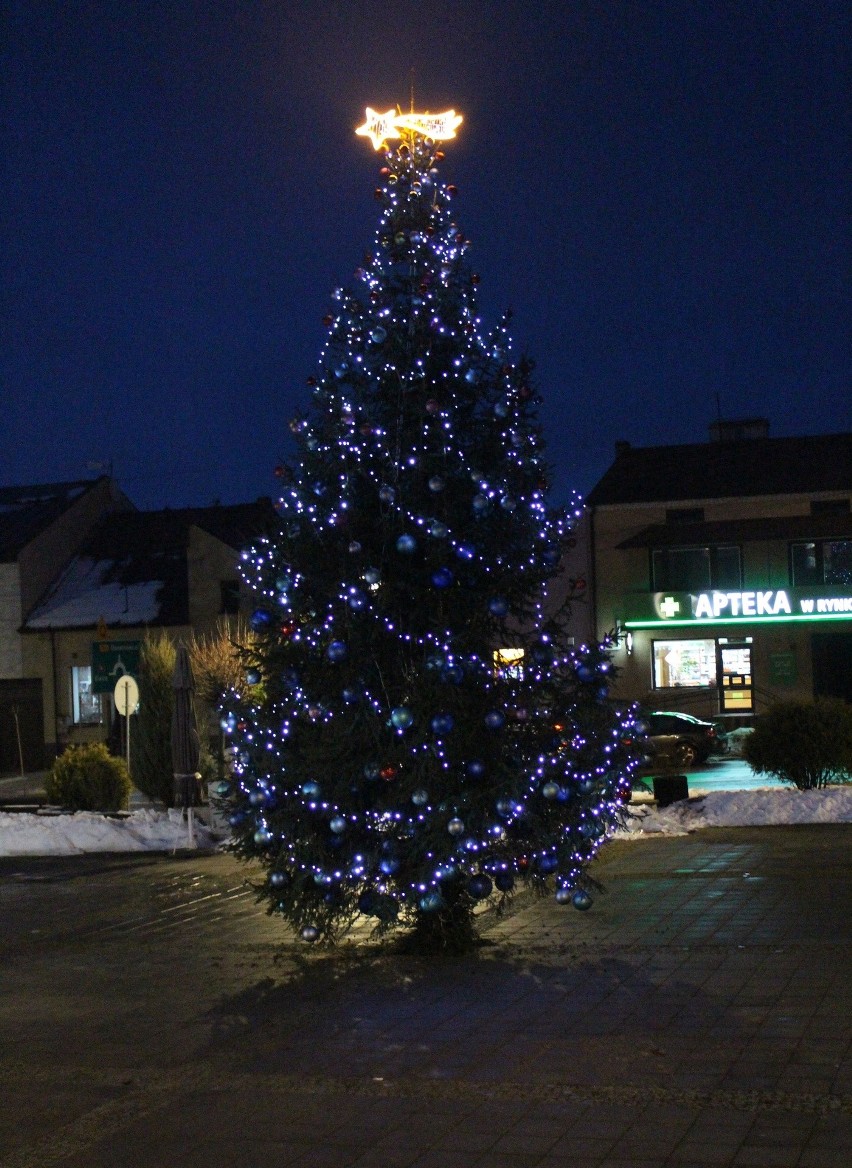 Na rynku w Łagowie rozbłyska świąteczna choinka. Żywe drzewko pięknie się prezentuje