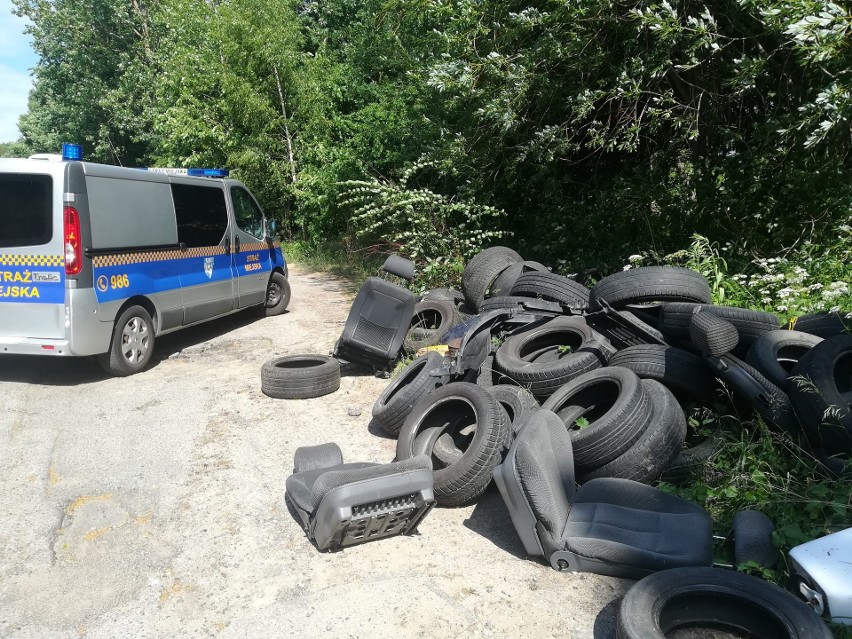 Straż Miejska w Koszalinie szuka sprawcy, bądź sprawców,...