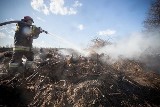 Płoną trawy. Strażacy jeżdżą od pożaru do pożaru