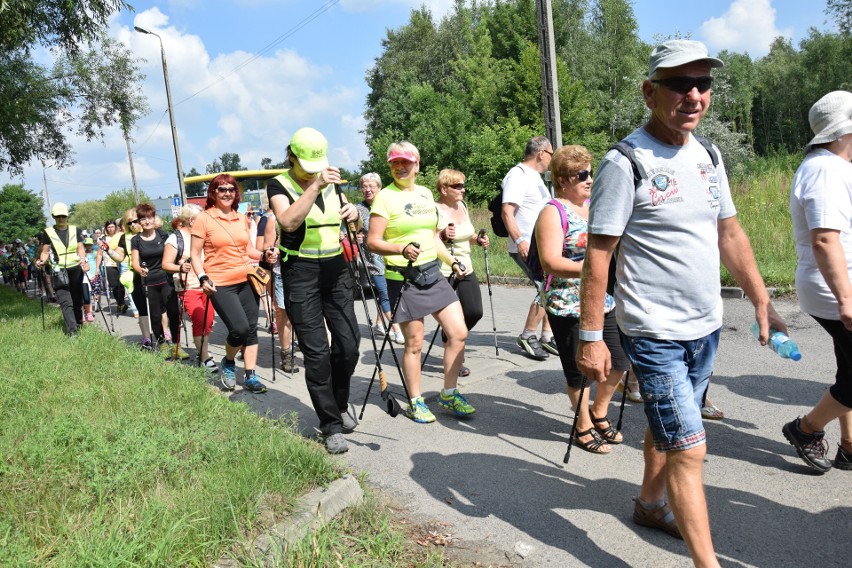 Marsz nordic walking w Zawierciu