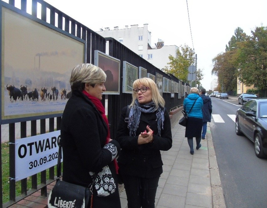 Galeria na płocie przy Fabrycznej gości fotografie...