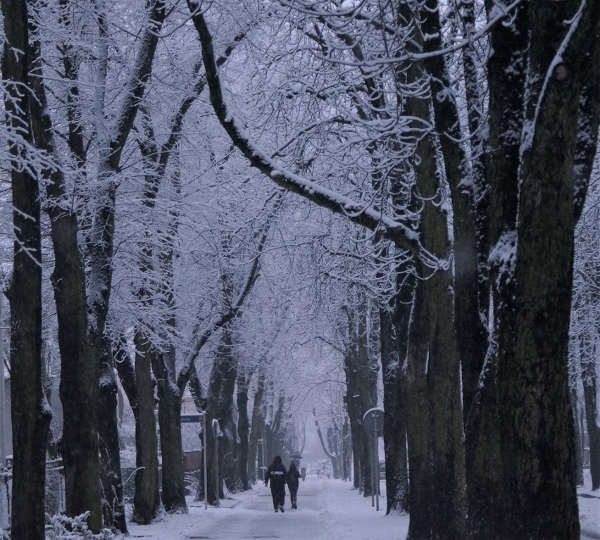 Zima codziennie przypomina o sobie przesypując Inowrocław...
