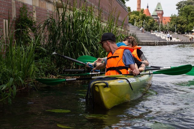 Skażenie Odry stwierdzono w kilku województwach. We Wrocławiu wypożyczalnie sprzętu pływającego działają nieprzerwanie