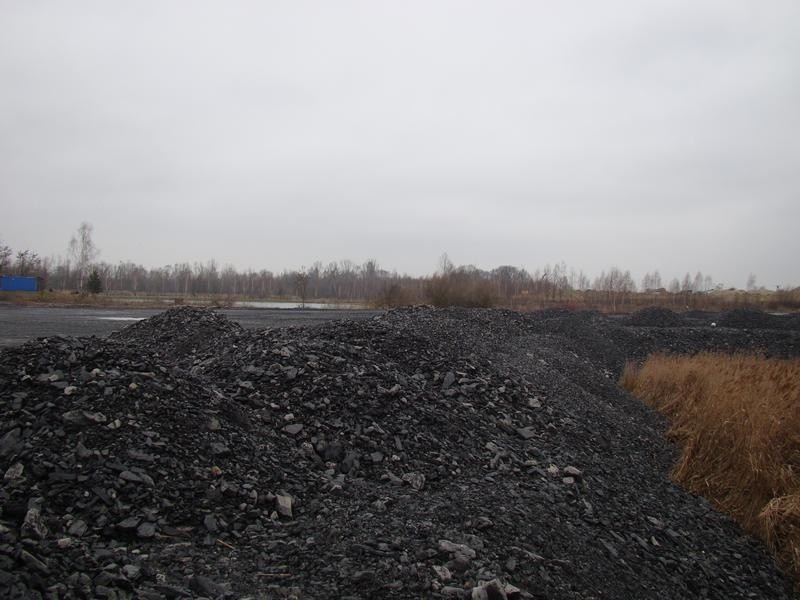 Rajsko. Tysiące ton odpadów górniczych trafia do zbiornika obok stawów i Soły