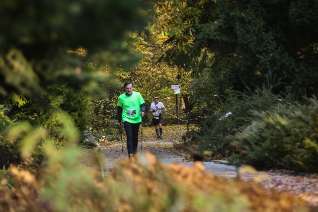 W sobotnie przedpołudnie (30 października) odbyła się jesienna edycja Botanicznej Piątki, czyli biegu 5-kilometrowego alejkami poznańskiego Ogrodu Botanicznego. W wydarzeniu wzięli udział biegacze i zawodnicy nordic walking.Zobacz zdjęcia -->