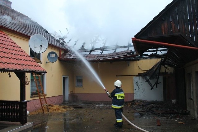 Strażacy gasili pożar w taki sposób, by ogień nie rozprzestrzenił się na budynek domu.