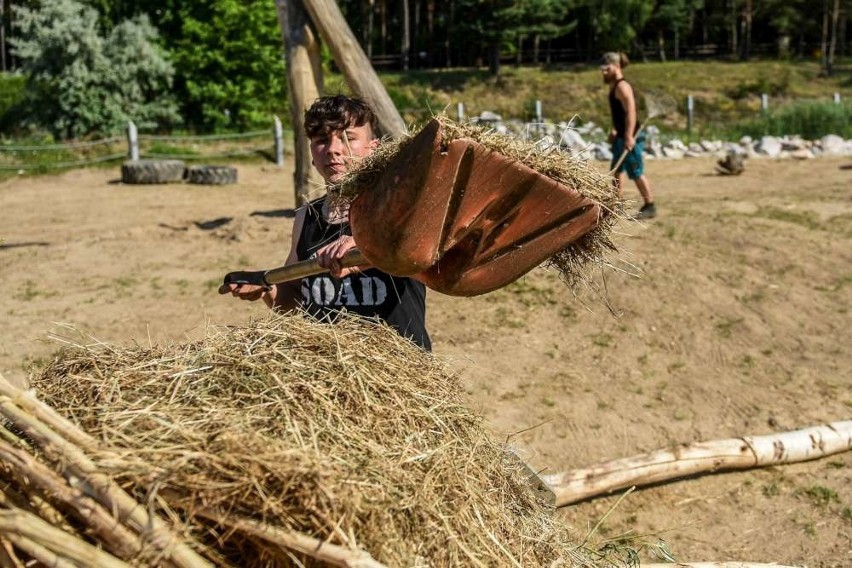 Sprzątanie idzie sprawnie, musi - bo słonie już się trochę...