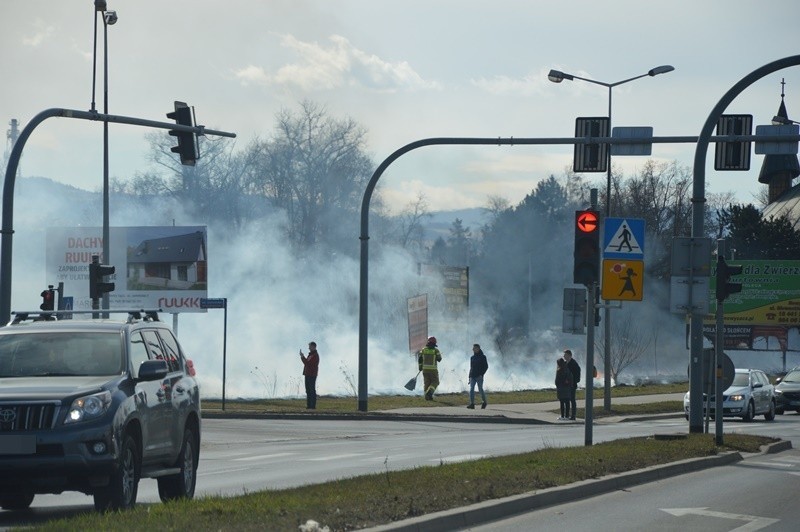 Nowy Sącz. Pożar traw w okolicach ronda Solidarności ograniczał widoczność kierowcom [ZDJĘCIA]