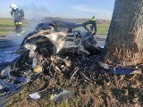 Tragiczny wypadek w Głogowińcu pod Kcynią. 39-latek nie żyje. Auto doszczętnie spłonęło. Trwa dochodzenie [zdjęcia]