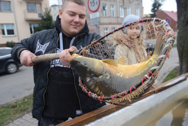 Ile kosztuje kilogram karpia w Słupsku?Karp to ryba, którą Polacy kupują głównie przed Bożym Narodzeniem.