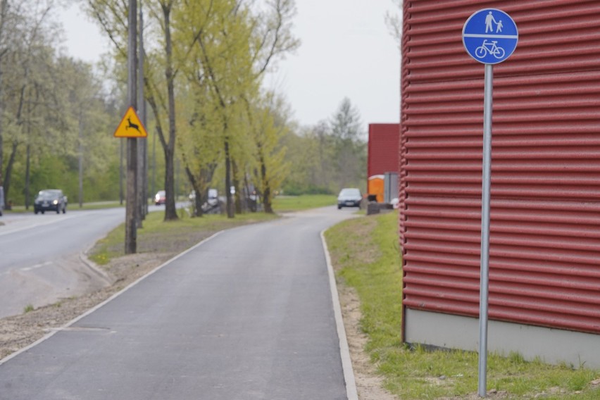 Droga rowerowa na Dolnej Wildzie w Poznaniu