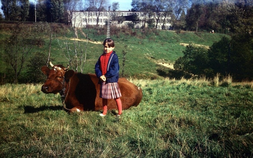 Dolina Drwinki u wylotu ulicy Sadka w roku 1984. Dziś teren...