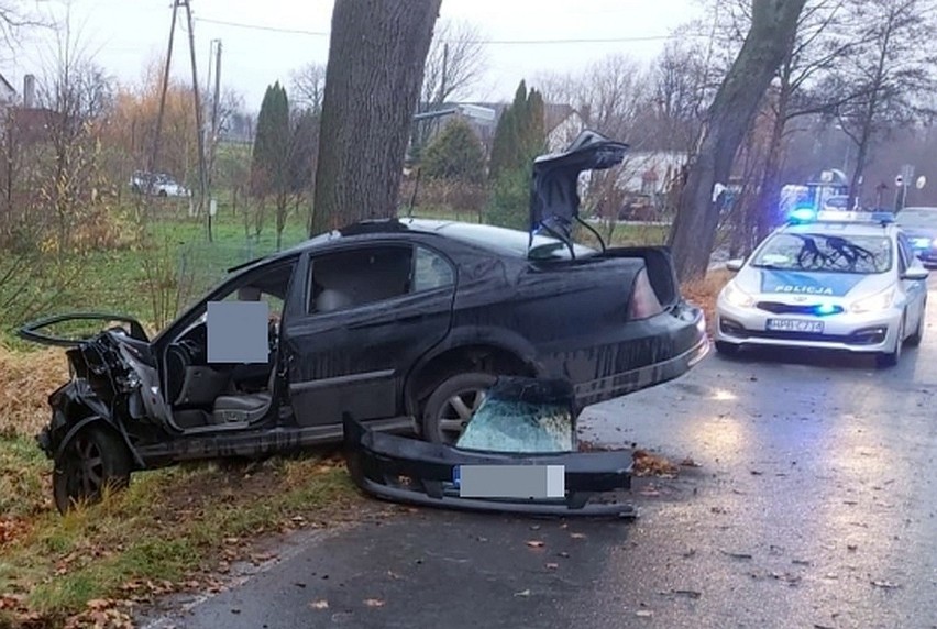 Straszny wypadek pod Bolesławcem. 19-latek nie miał szans w zderzeniu z drzewem [ZDJĘCIA]