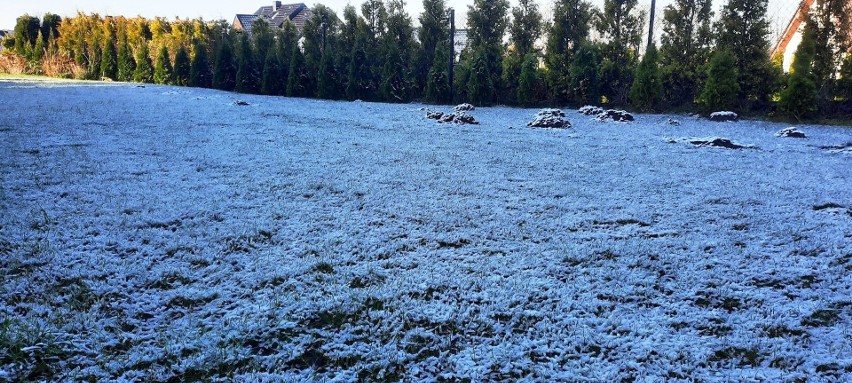 Pierwszy śnieg na Kaszubach. Biało i słonecznie [ZDJĘCIA]